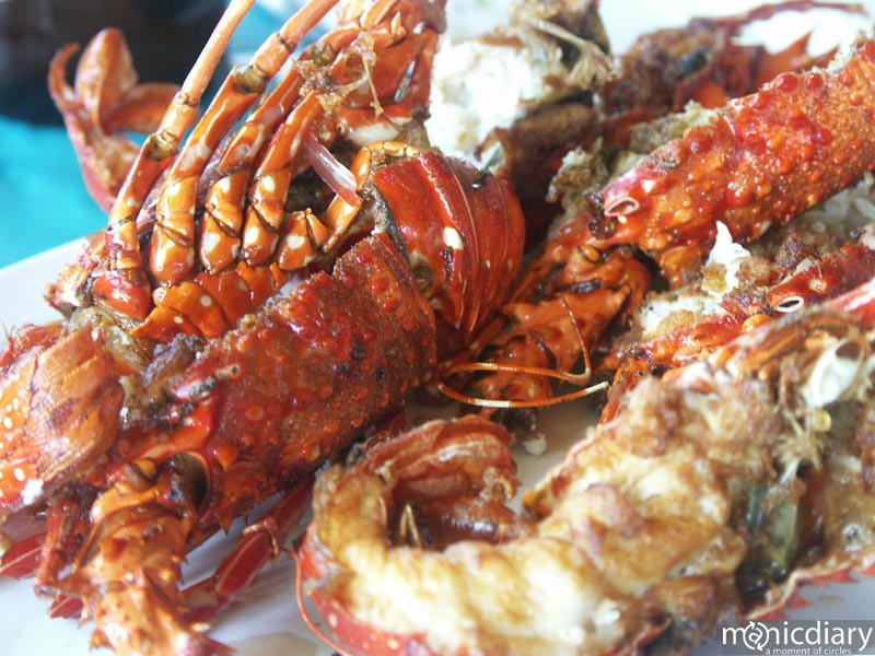 primo-tapia04.jpg : baja.california.mexico