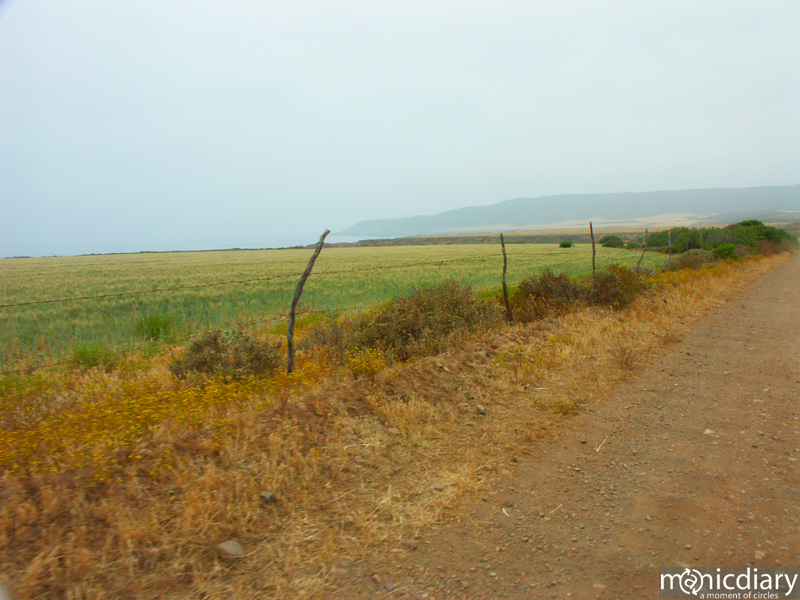 punta-san-jose-morning02.jpg : baja.california.mexico