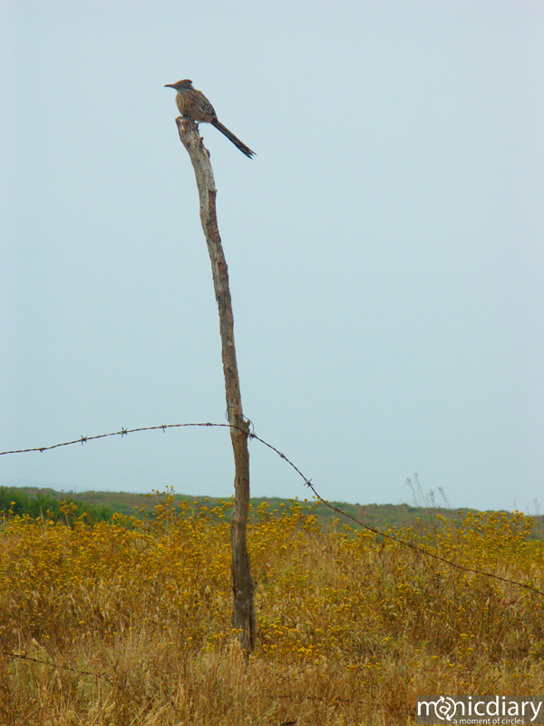 punta-san-jose-morning03.jpg : baja.california.mexico