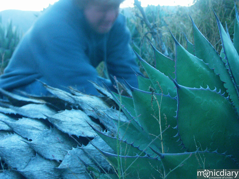punta-san-jose-night04.jpg : baja.california.mexico