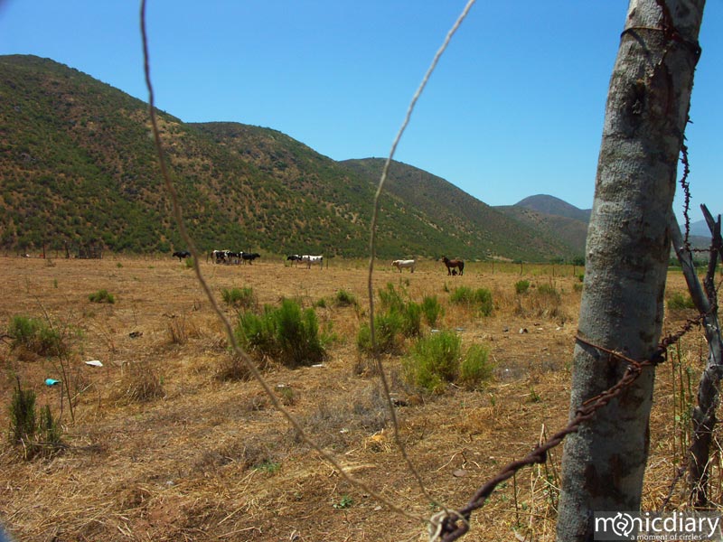 santo-tomas077.jpg : baja.california.mexico