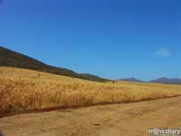 punta-san-jose114.jpg : baja.california.mexico