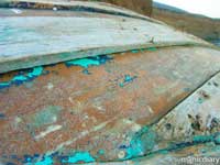 punta-san-jose160.jpg : baja.california.mexico