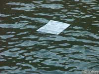 punta-san-jose161.jpg : baja.california.mexico