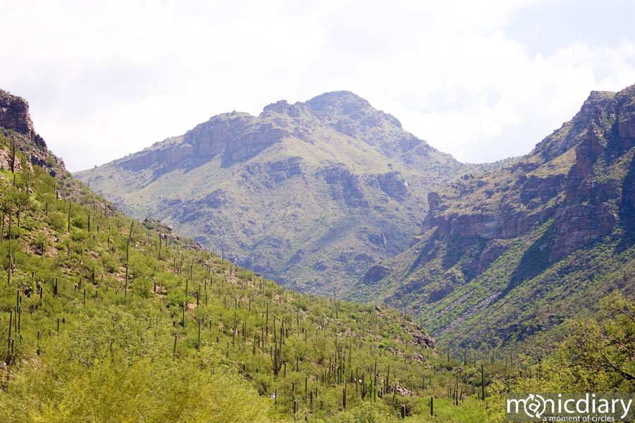 bear_canyon_az00.jpg : bear.canyon.arizona