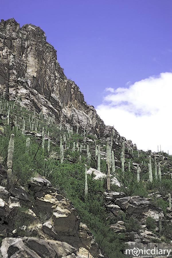 bear_canyon_az27.jpg : bear.canyon.arizona