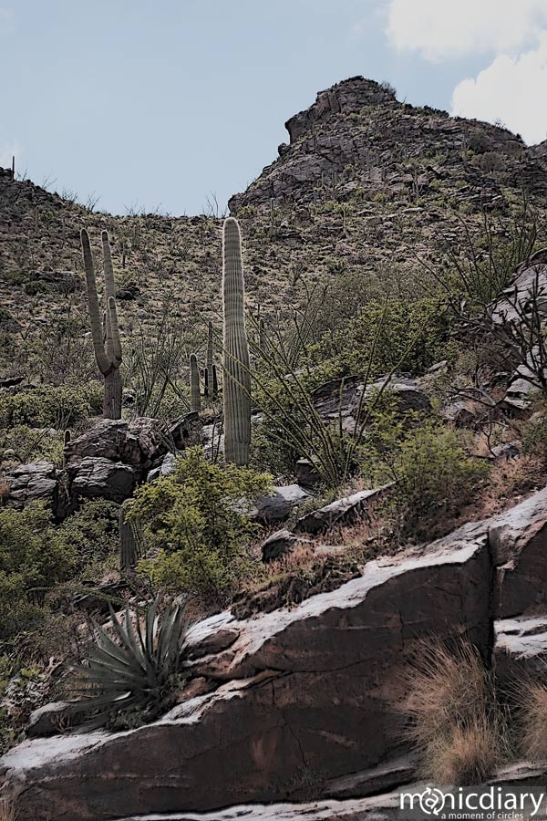 bear_canyon_az29.jpg : bear.canyon.arizona