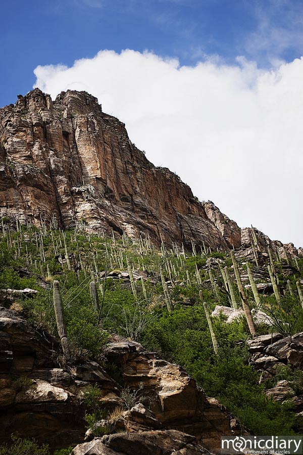bear_canyon_az33.jpg : bear.canyon.arizona