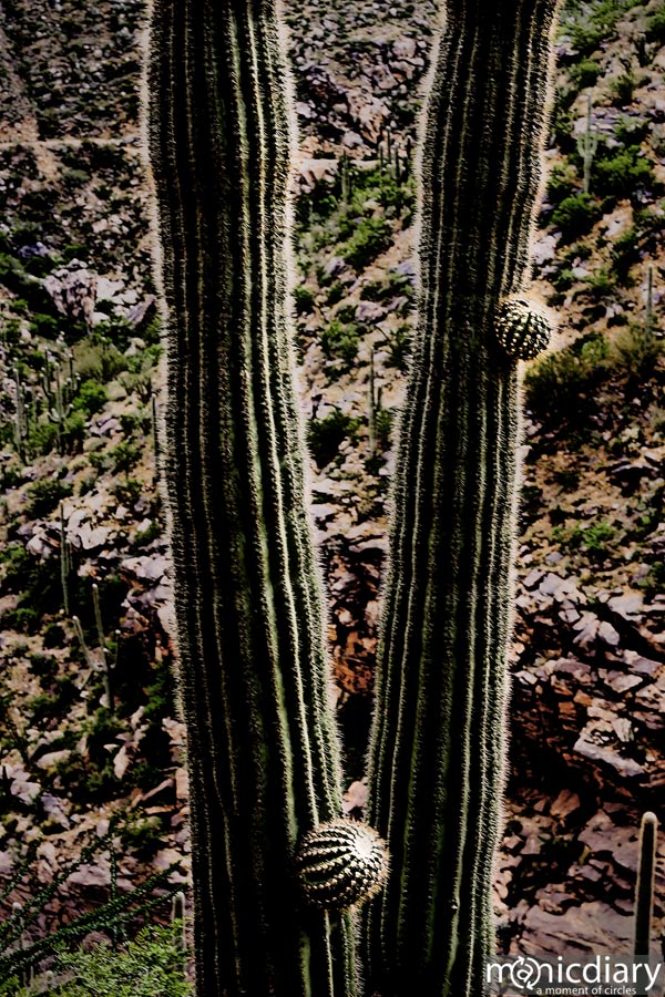 bear_canyon_az43.jpg : bear.canyon.arizona