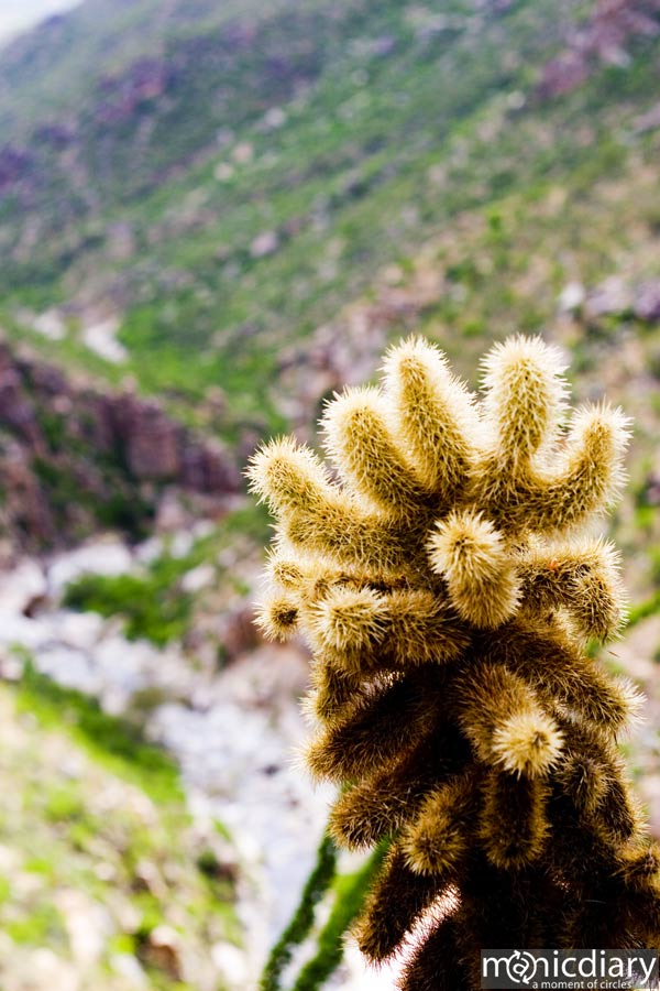 bear_canyon_az48.jpg : bear.canyon.arizona
