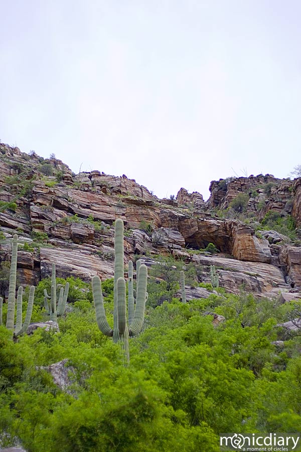 bear_canyon_az59.jpg : bear.canyon.arizona