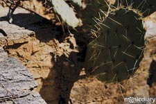 bear_canyon_az02.jpg : bear.canyon.arizona