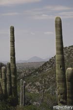 bear_canyon_az10.jpg : bear.canyon.arizona