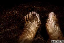 bear_canyon_az17.jpg : bear.canyon.arizona