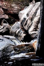 bear_canyon_az35.jpg : bear.canyon.arizona