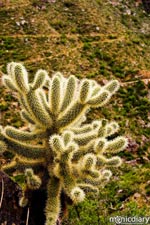 bear_canyon_az42.jpg : bear.canyon.arizona