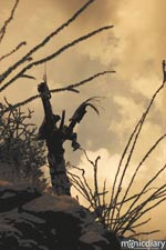 bear_canyon_az45.jpg : bear.canyon.arizona