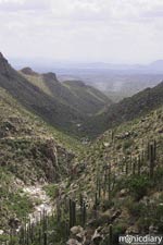 bear_canyon_az46.jpg : bear.canyon.arizona
