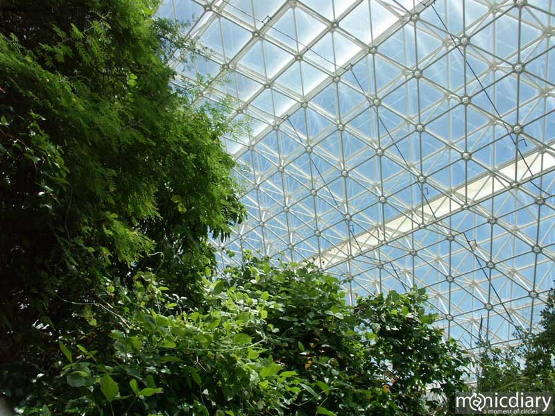 bio0019.jpg : biosphere.2.arizona