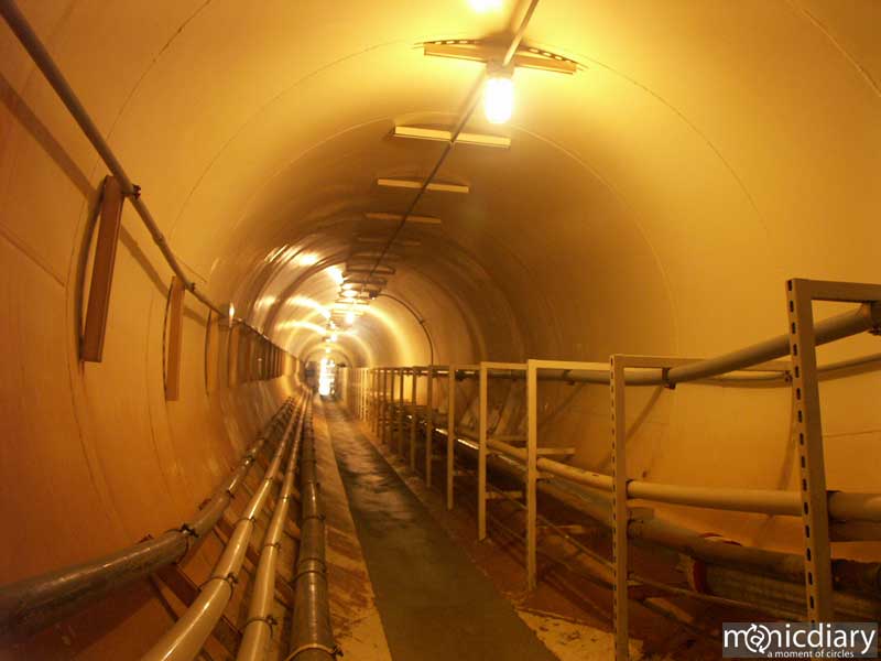 bio0026.jpg : biosphere.2.arizona