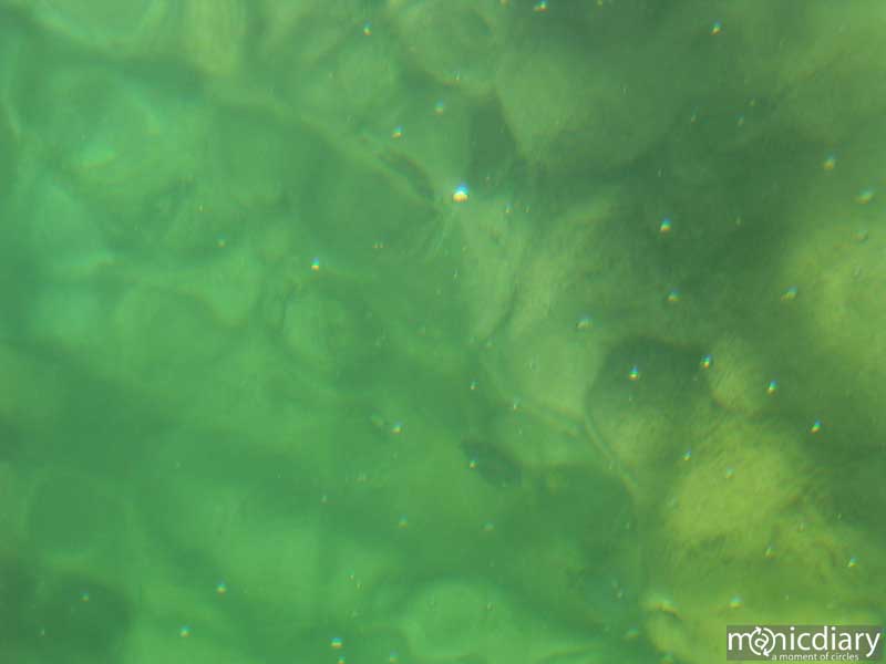 bio0047.jpg : biosphere.2.arizona