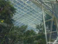 bio0038.jpg : biosphere.2.arizona