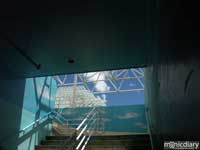 bio0041.jpg : biosphere.2.arizona