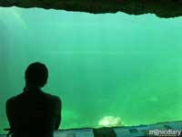 bio0043.jpg : biosphere.2.arizona