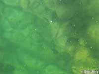 bio0047.jpg : biosphere.2.arizona