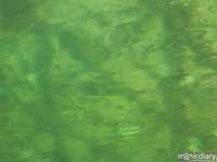 bio0048.jpg : biosphere.2.arizona