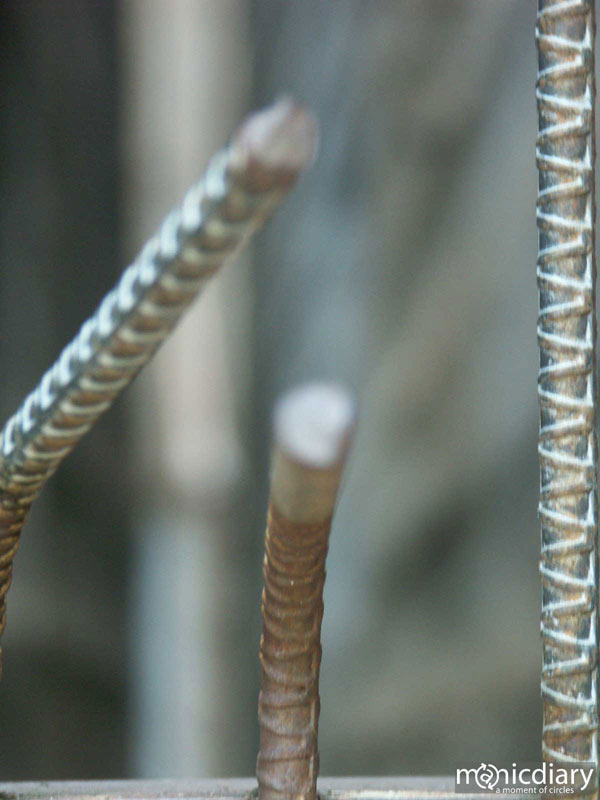 rebarb.jpg : bisbee.arizona