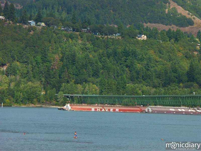 bridge11.jpg : bridges.oregon