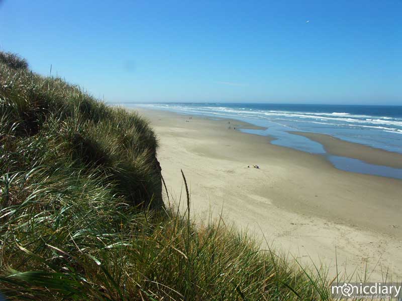 beach01.jpg : coast.oregon