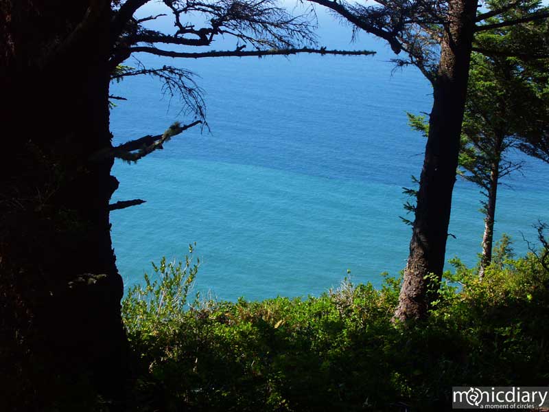 coast00.jpg : coast.oregon