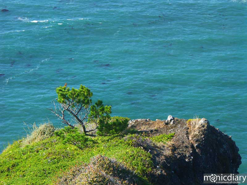 coast23.jpg : coast.oregon