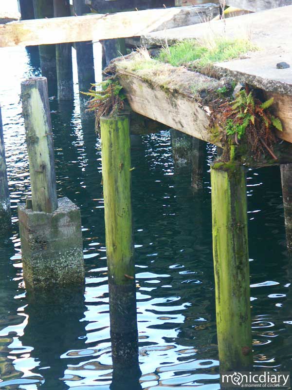 coast25.jpg : coast.oregon