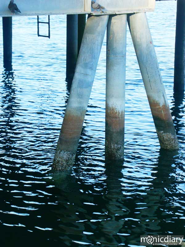 coast26.jpg : coast.oregon