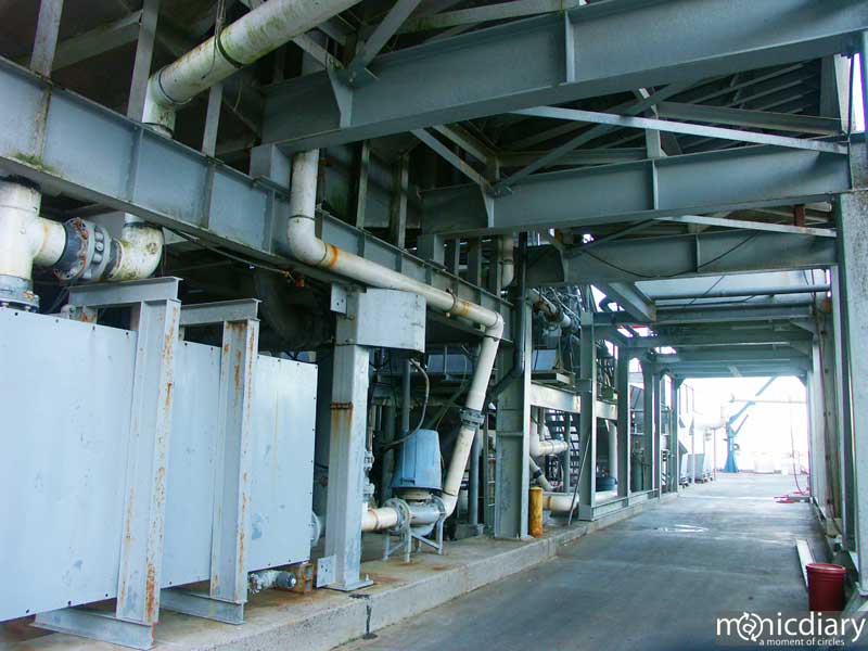 coast29.jpg : coast.oregon