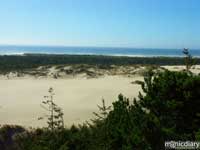 coast06.jpg : coast.oregon