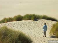 coast10.jpg : coast.oregon