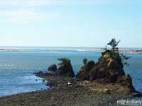 coast14.jpg : coast.oregon
