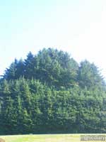 coast18.jpg : coast.oregon