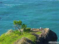 coast23.jpg : coast.oregon