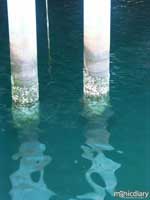 coast27.jpg : coast.oregon