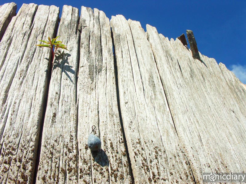 detroit08.jpg : detroit.oregon