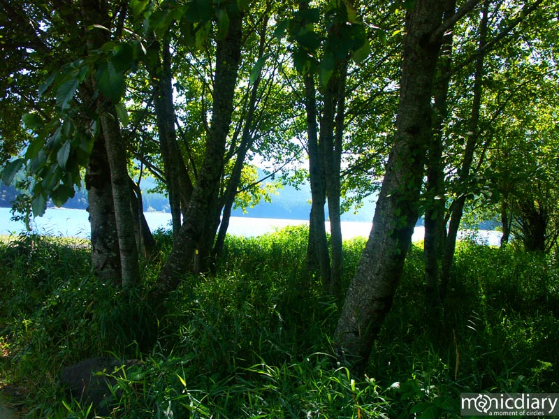 detroit13.jpg : detroit.oregon