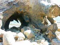 detroit04.jpg : detroit.oregon