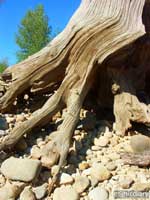 detroit07.jpg : detroit.oregon