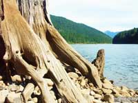 detroit09.jpg : detroit.oregon