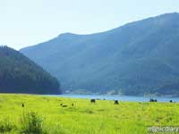 detroit11.jpg : detroit.oregon